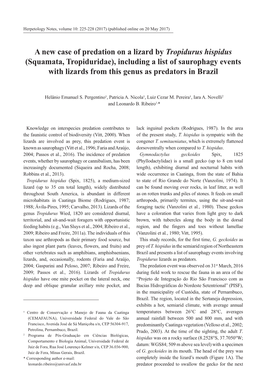 Squamata, Tropiduridae), Including a List of Saurophagy Events with Lizards from This Genus As Predators in Brazil