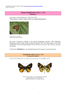 051Af Genus Pardaleodes Butler