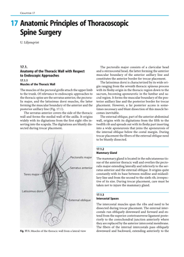 17 Anatomic Principles of Thoracoscopic Spine Surgery