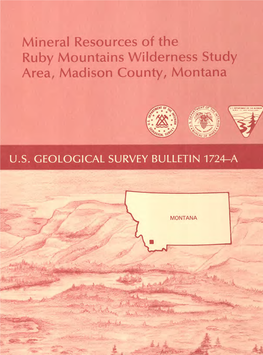 Mineral Resources of the Ruby Mountains Wilderness Study Area, Madison County, Montana