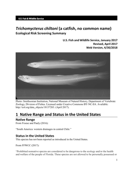 Trichomycterus Chiltoni (A Catfish, No Common Name) Ecological Risk Screening Summary