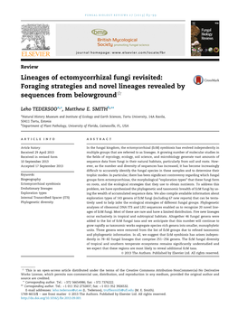 Lineages of Ectomycorrhizal Fungi Revisited: Foraging Strategies and Novel Lineages Revealed by 5 Sequences from Belowground