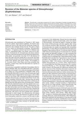 Revision of the Malesian Species of <I>Dimorphocalyx</I> (<I>Euphorbiaceae</I>)