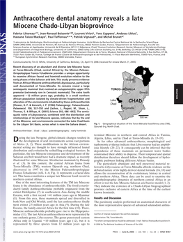 Anthracothere Dental Anatomy Reveals a Late Miocene Chado-Libyan Bioprovince