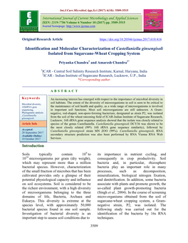 Identification and Molecular Characterization of Castellaniella Ginsengisoli Isolated from Sugarcane-Wheat Cropping System