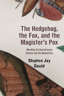 The Hedgehog, the Fox, and the Magister's Pox: Mending the Gap