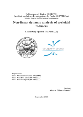 Non-Linear Dynamic Analysis of Cycloidal Reducers