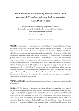 Desarrollo Neural, Somitogénesis Y Morfología Interna De Los