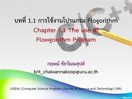 Flowgorithm Program