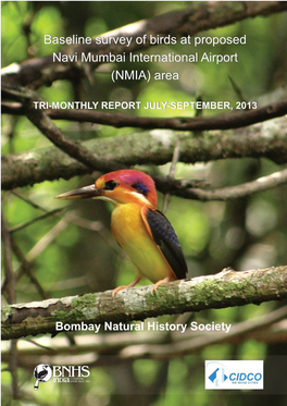 Area Baseline Survey of Birds at Proposed Navi