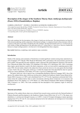 Description of the Clasper of the Southern Thorny Skate Amblyraja Doellojuradoi (Pozzi, 1935) (Chondrichthyes: Rajidae)