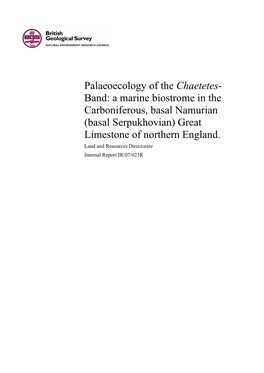 Palaeoecology of the Chaetetes- Band: a Marine Biostrome in the Carboniferous, Basal Namurian (Basal Serpukhovian) Great Limestone of Northern England