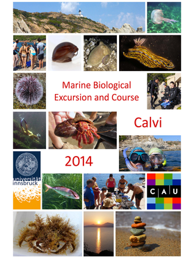 Mollusca, Annelida, Arthropoda and Echinodermata (Table 1)