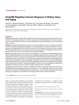 Serpinb2 Regulates Immune Response in Kidney Injury and Aging