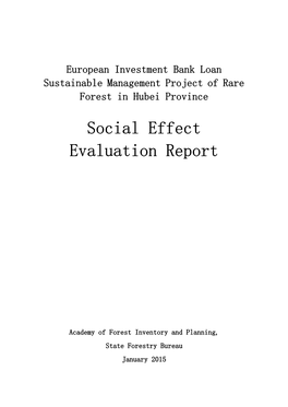 Social Effect Evaluation Report