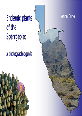 Endemic Plants of the Sperrgebiet