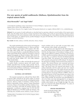 Five New Species of Aeolid Nudibranchs (Mollusca, Opisthobranchia) from the Tropical Eastern Pacific