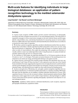 Multi-Scale Features for Identifying Individuals in Large Biological Databases: an Application of Pattern Recognition Technology