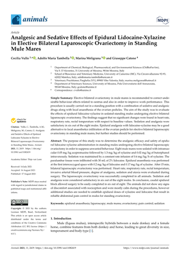 Analgesic and Sedative Effects of Epidural Lidocaine-Xylazine in Elective Bilateral Laparoscopic Ovariectomy in Standing Mule Mares