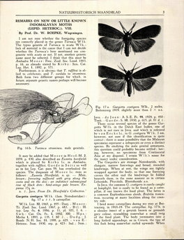 (LEPID. HETEROC). VIII. by Prof. Dr. W. ROEPKE, Wageningen