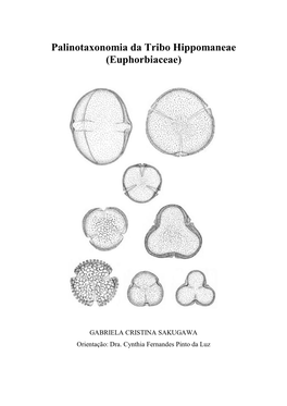 Palinotaxonomia Da Tribo Hippomaneae (Euphorbiaceae)