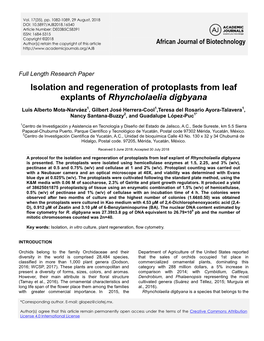 Isolation and Regeneration of Protoplasts from Leaf Explants of Rhyncholaelia Digbyana