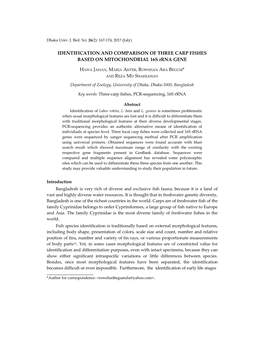 IDENTIFICATION and COMPARISON of THREE CARP FISHES BASED on MITOCHONDRIAL 16S Rrna GENE