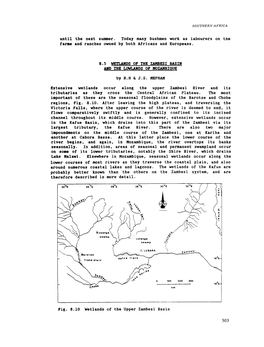 Wetlands of the Zambesi Basin and the Lowlands of Mozambique