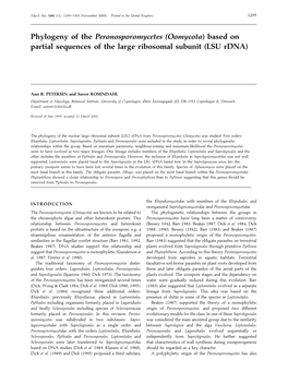 Phylogeny of the Peronosporomycetes (Oomycota) Based on Partial Sequences of the Large Ribosomal Subunit (LSU Rdna)