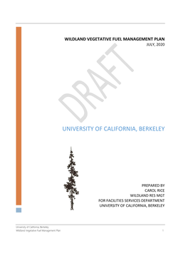 UC Berkeley. Capital Strategies