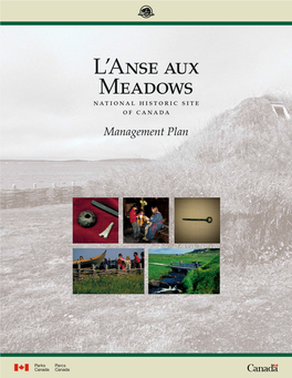 L'anse Aux Meadows