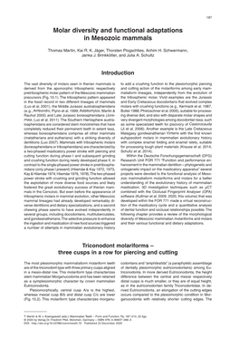 Molar Diversity and Functional Adaptations in Mesozoic Mammals