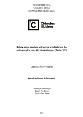 Colony Social Structure and Burrow Architecture of the Lusitanian Pine Vole, Microtus Lusitanicus (Gerbe, 1879)