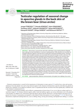 Testicular Regulation of Seasonal Change in Apocrine Glands in the Back Skin of the Brown Bear (Ursus Arctos)