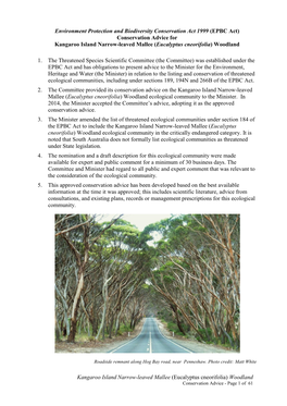 Conservation Advice for Kangaroo Island Narrow-Leaved Mallee (Eucalyptus Cneorifolia) Woodland
