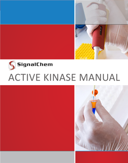 Active Kinase Manual