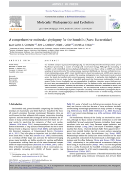 A Comprehensive Molecular Phylogeny for the Hornbills (Aves: Bucerotidae) ⇑ Juan-Carlos T