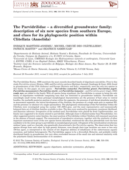 The Parvidrilidae a Diversified Groundwater Family