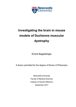 Investigating the Brain in Mouse Models of Duchenne Muscular Dystrophy