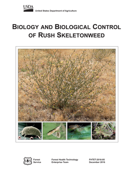 Biology and Biological Control of Rush Skeletonweed