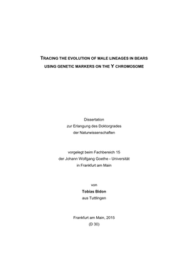 TRACING the EVOLUTION of MALE LINEAGES in BEARS USING GENETIC MARKERS on the Y CHROMOSOME Dissertation Zur Erlangung Des Doktorg