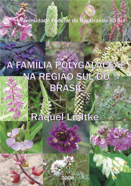 A Família Polygalaceae Na Região Sul Do Brasil