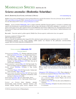 Sciurus Anomalus (Rodentia: Sciuridae)