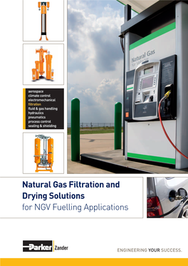 Natural Gas Filtration and Drying Solutions for NGV Fuelling Applications CNG Contamination Problems