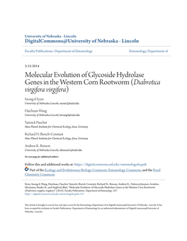 Molecular Evolution of Glycoside Hydrolase Genes in the Western