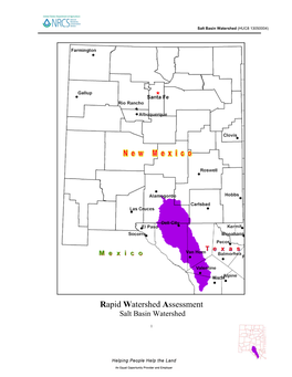 Rapid Watershed Assessment Salt Basin Watershed