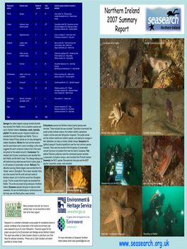 Northern Ireland Summary 2007