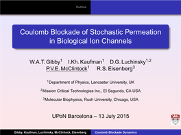 Coulomb Blockade of Stochastic Permeation in Biological Ion Channels