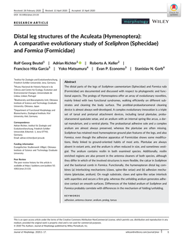 Distal Leg Structures of the Aculeata (Hymenoptera): a Comparative Evolutionary Study of Sceliphron (Sphecidae) and Formica (Formicidae)
