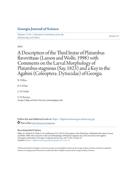 A Description of the Third Instar of Platambus Flavovittaus (Larson And